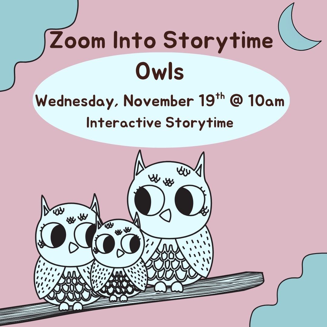 Zoom Into Storytime Owls